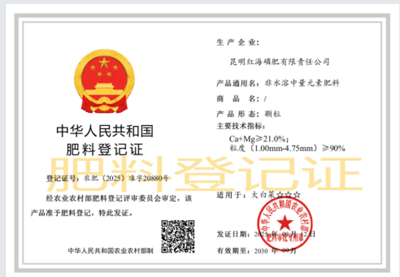 1759212324219-ys.png